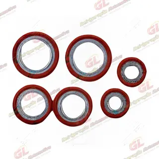 Arruela de Vedação de Sucção e Descarga Compressor Ford Focus/ New Fiesta/ Fusion/ Ranger/ Edge/ Bronco/ EcoSport/ Ka OEM: DS7Z19B596A